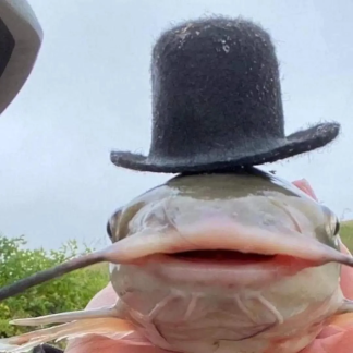 Sophisticated phish